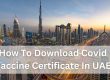 How To Download Covid Vaccine Certificate In UAE