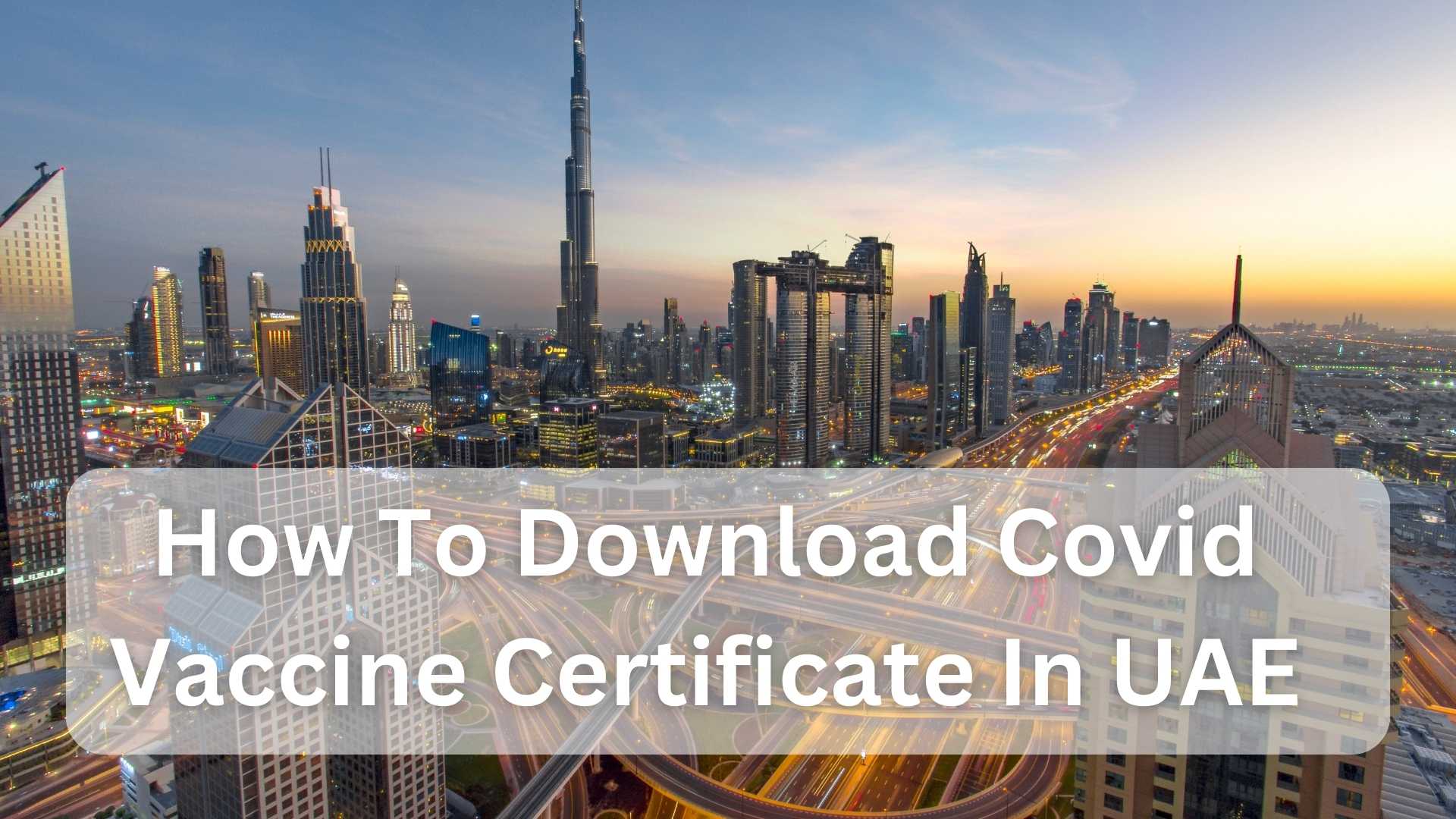 How To Download Covid Vaccine Certificate In UAE