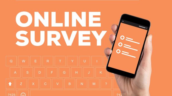 Online Survey