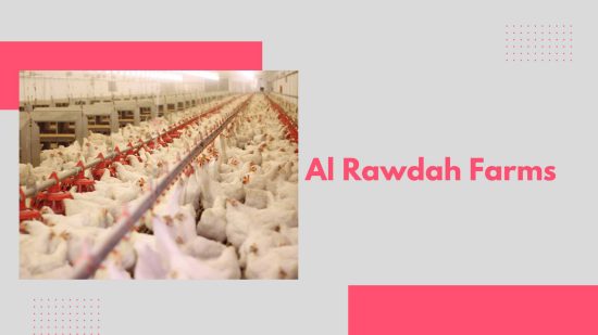 Al Rawdah Farms