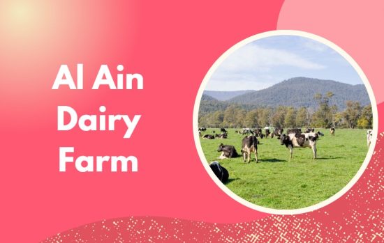 Al Ain Dairy Farm